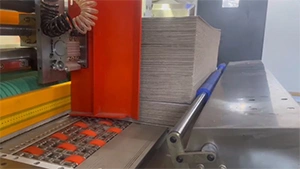 Línea flexográfica de alta definición a 5 colores, con ranurado y troquelado rotativo para cliente en Bielorrusia